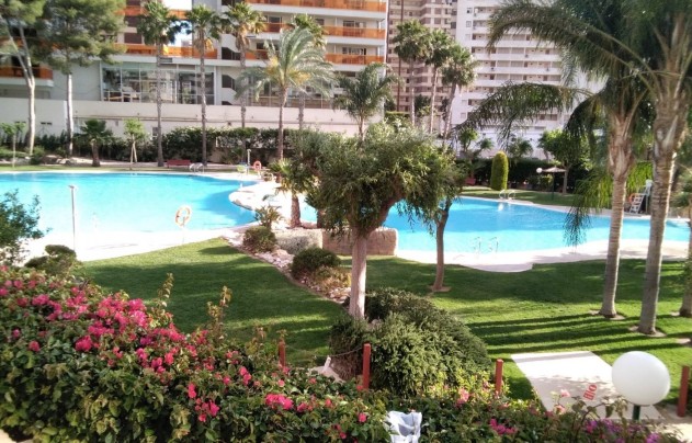 Apartment - Resale - Benidorm - Rincón de Loix