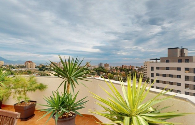 Apartment - Resale - San Juan Alicante - San Juan de Alicante