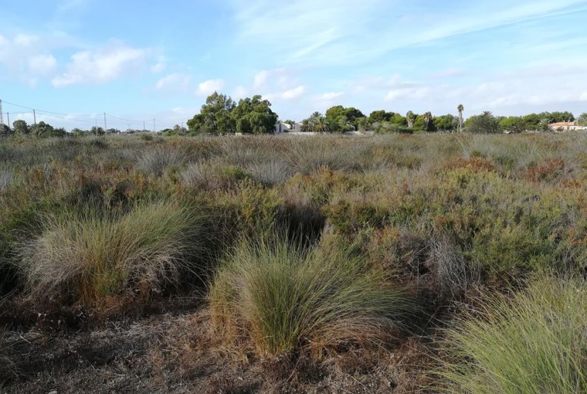 Herverkoop - Land - Altet - El Altet