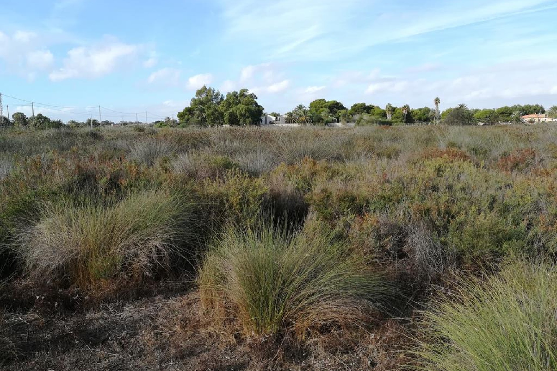 Herverkoop - Land - Altet - El Altet