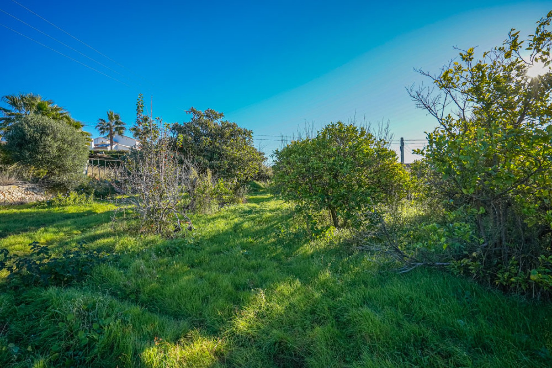 Herverkoop - Land - Jávea - Valls