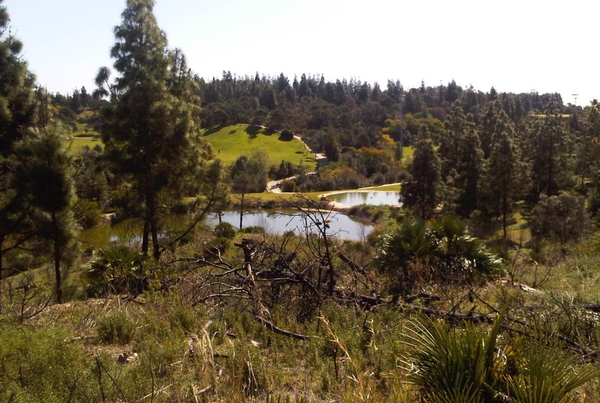 Herverkoop - Land - Mijas - El Chaparral