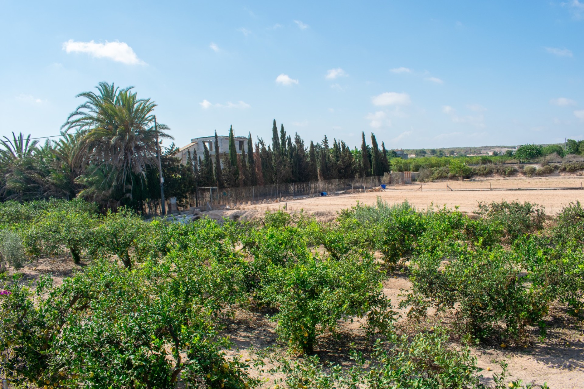 Herverkoop - Villa - Guardamar del Segura - El Raso