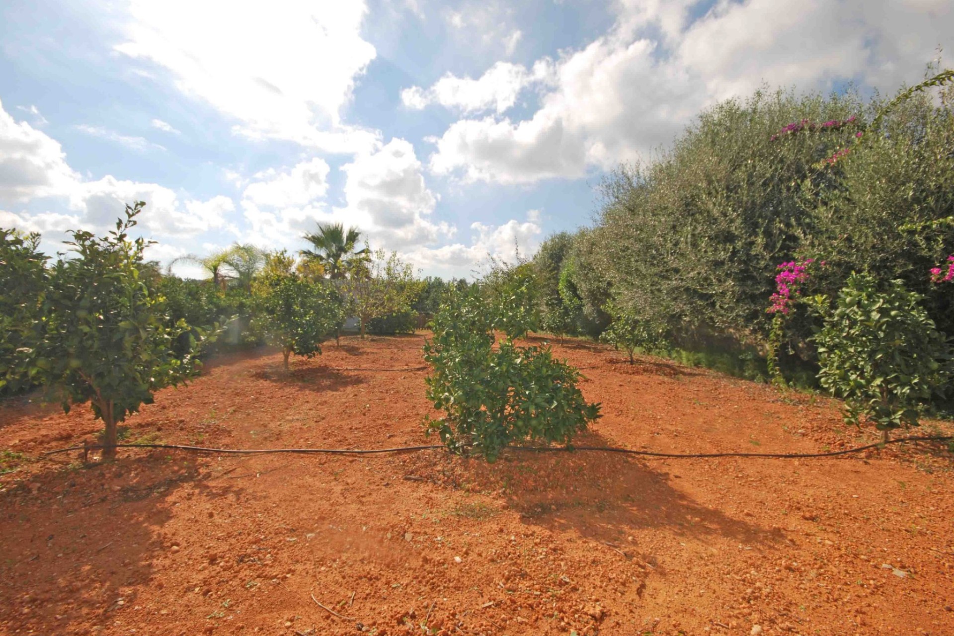 Herverkoop - Villa - Jávea - Montgó