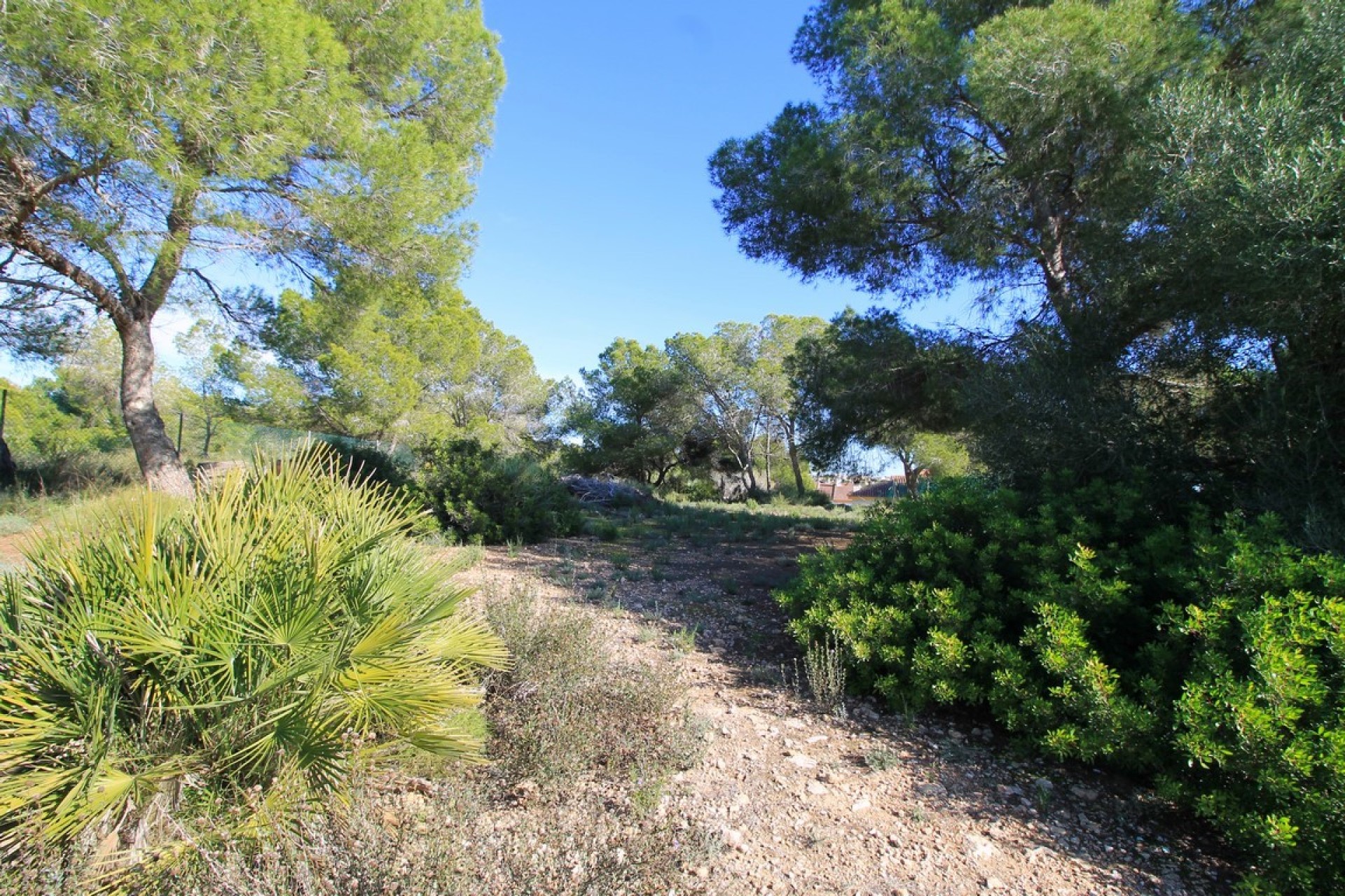 Herverkoop - Villa - Orihuela Costa - Mil Palmeras