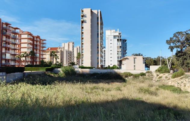 Land - Resale - Guardamar del Segura - Guardamar del Segura