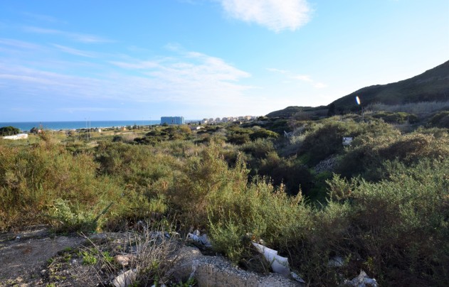 Land - Resale - Guardamar del Segura - Los Secanos