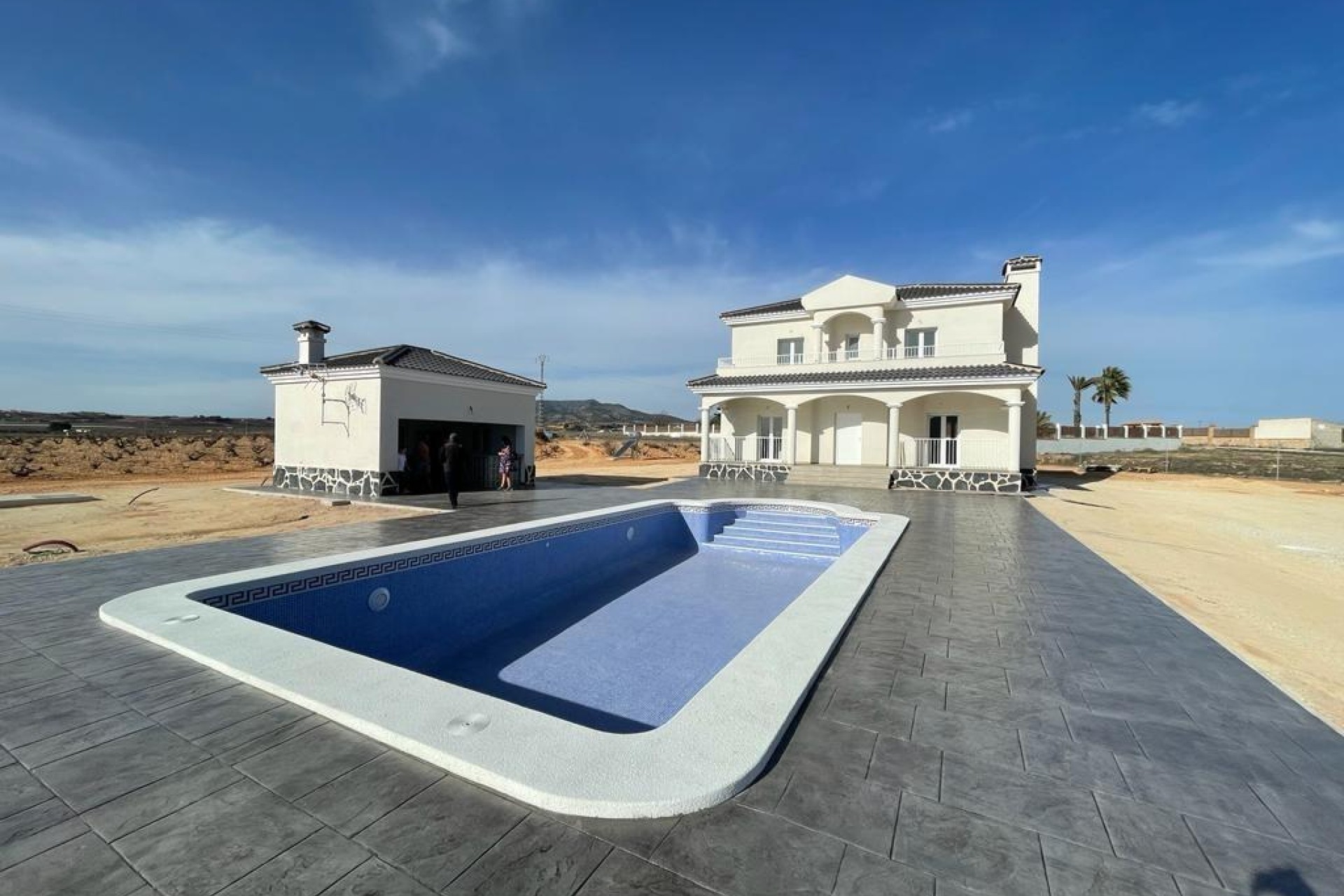 Nouvelle construction - Villa - Pinoso - Camino Del Prado