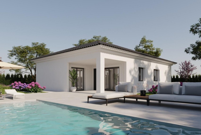 Nouvelle construction - Villa - Pinoso - Lel