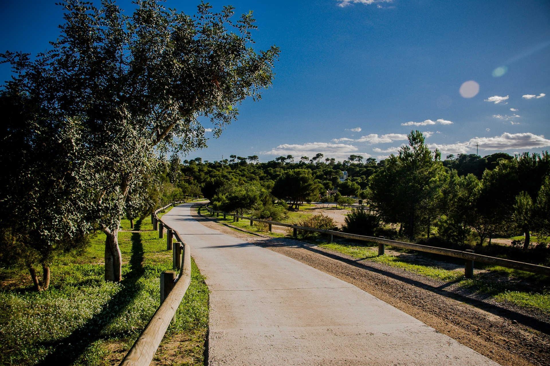 Nouvelle construction - Villa - Rojales - Doña Pena