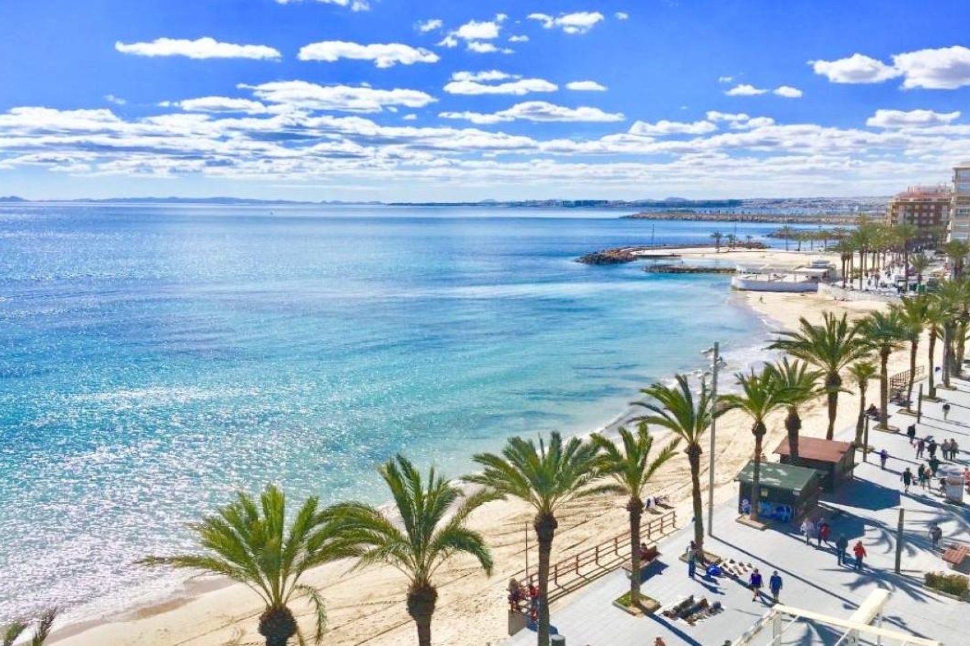 Obra nueva - Apartment - Torrevieja - Lago Jardín II