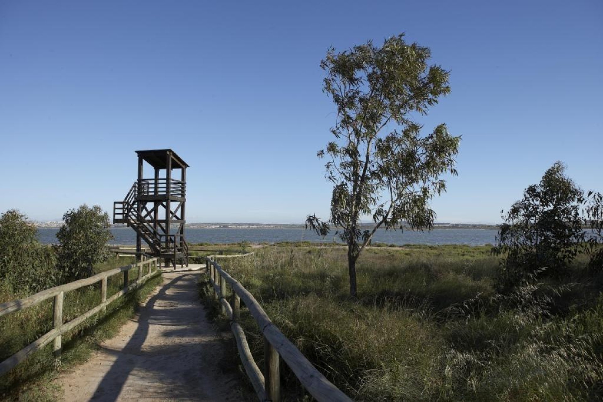 Obra nueva - Casa - Torrevieja - Aguas Nuevas