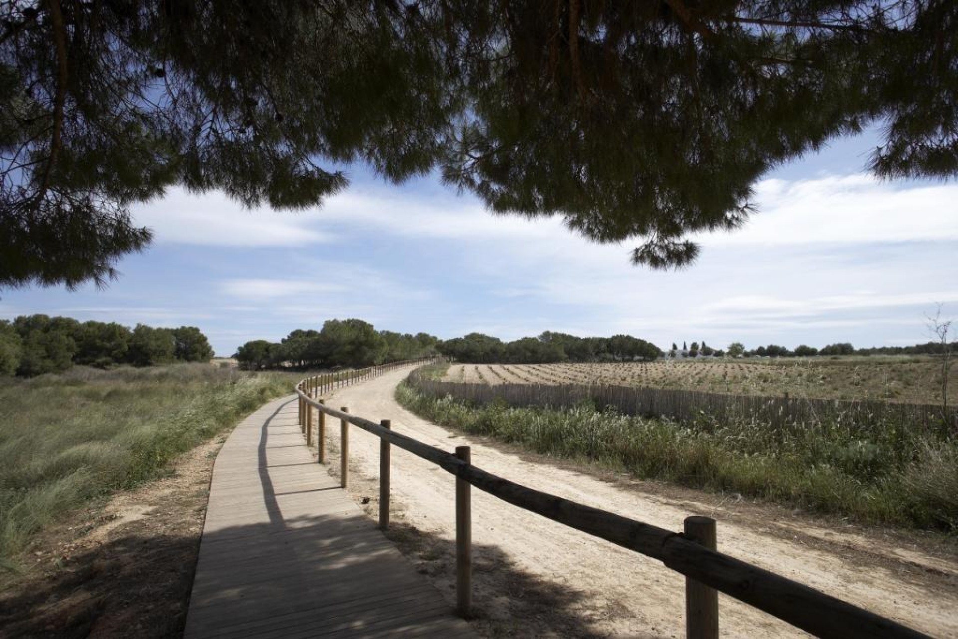 Obra nueva - Casa - Torrevieja - Aguas Nuevas