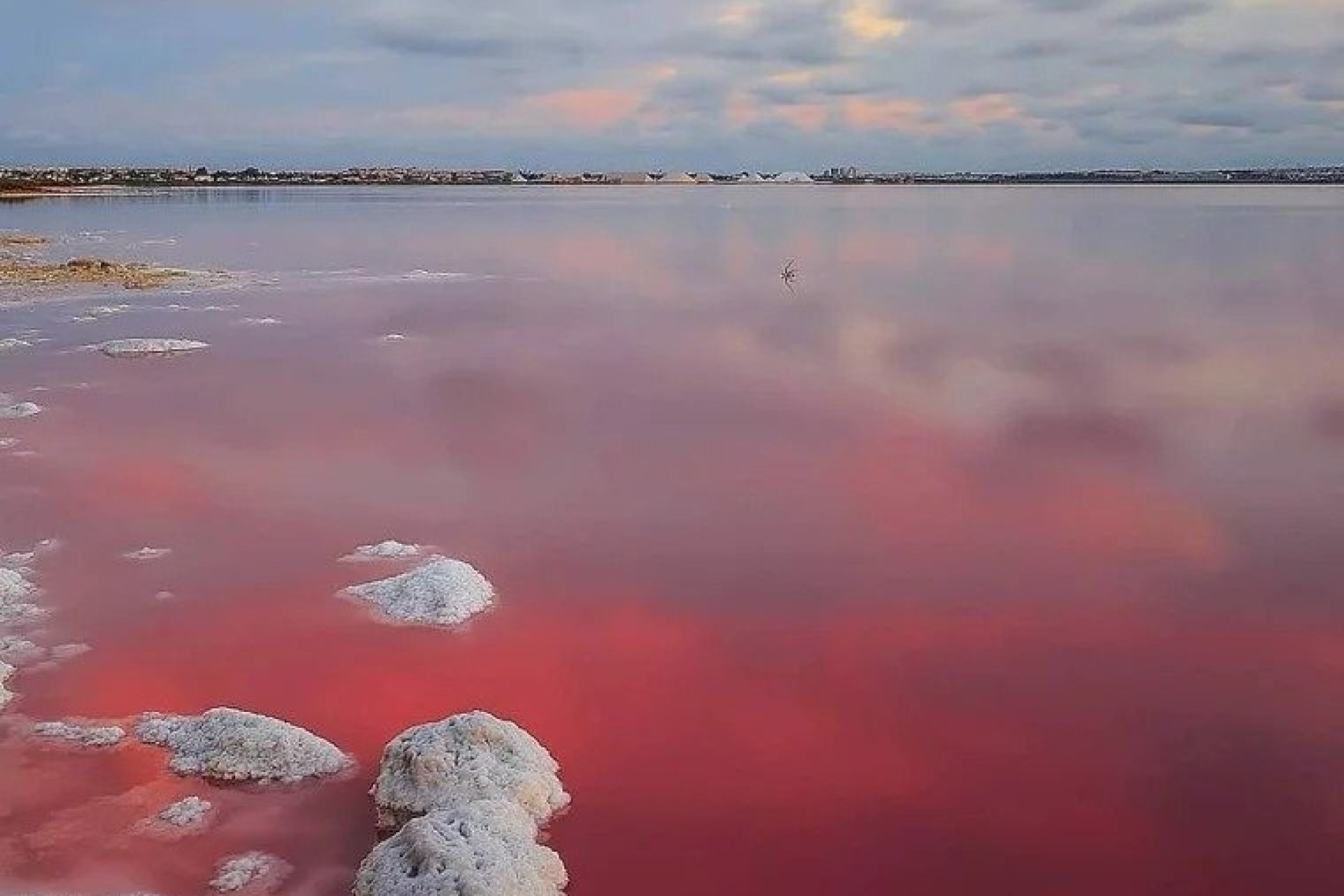 Obra nueva - Casa - Torrevieja - Lago Jardin