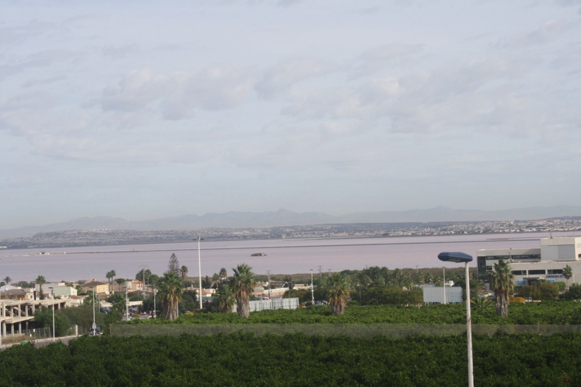 Obra nueva - Casa - Torrevieja - Los Altos