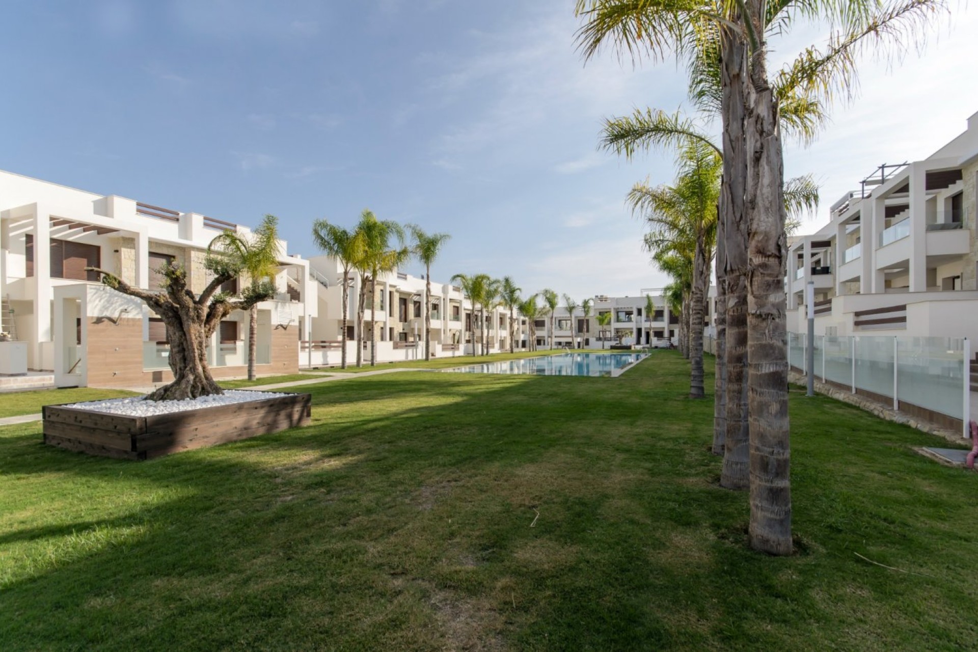 Obra nueva - Casa - Torrevieja - Los Balcones