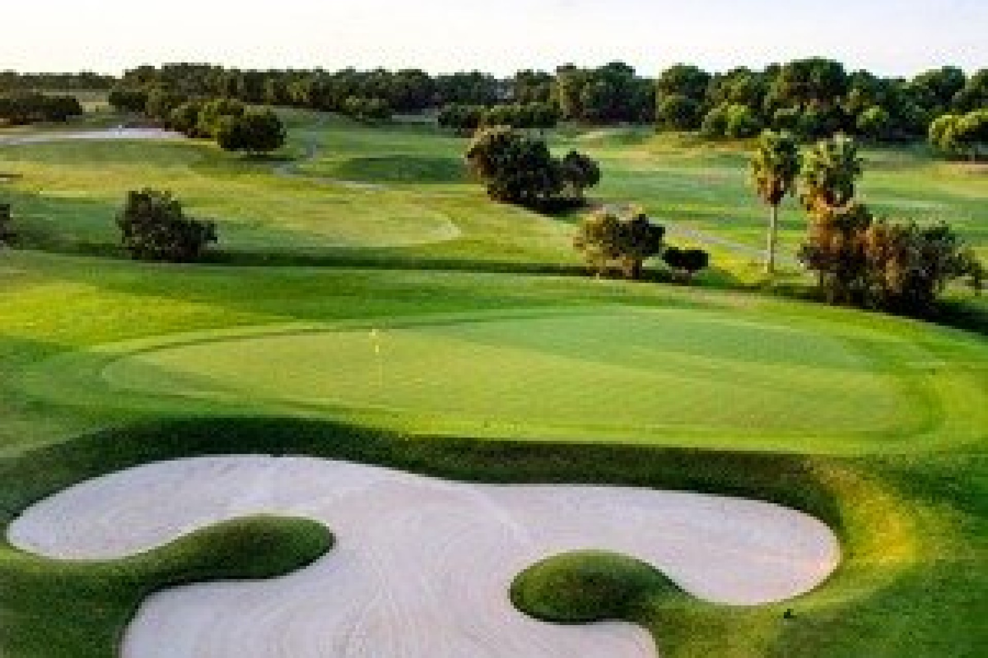 Obra nueva - Villa - Pilar de la Horadada - Lo Romero Golf