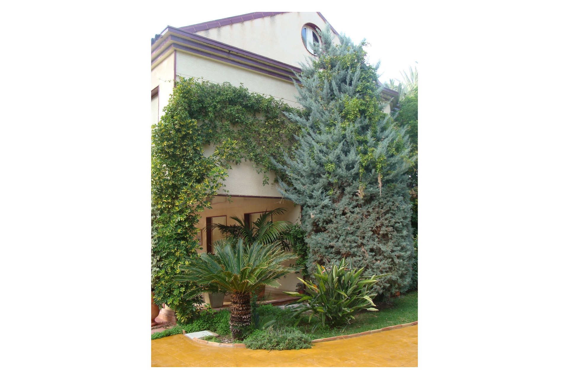 Resale - Villa - Elche