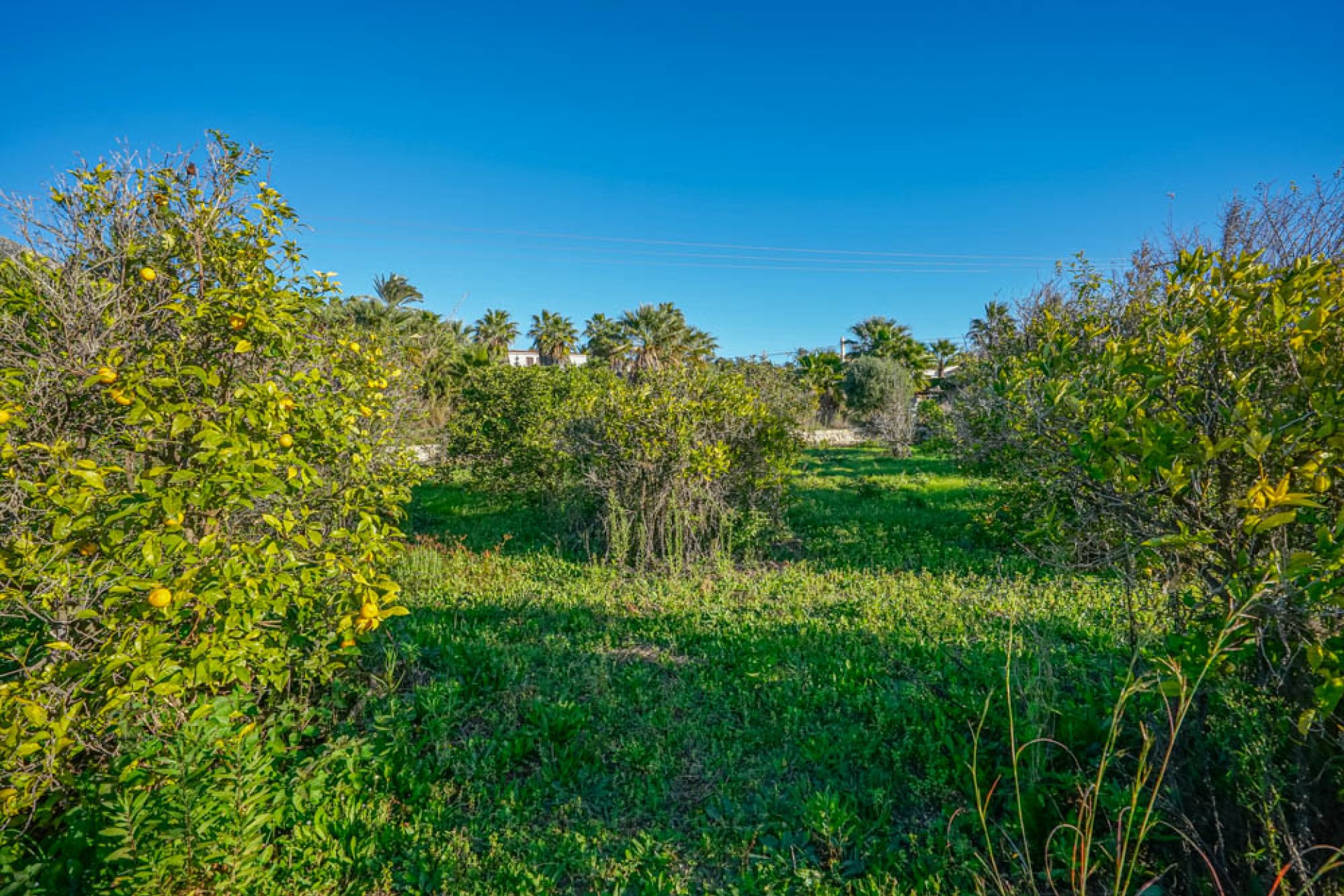 Reventa - Land - Jávea - Valls