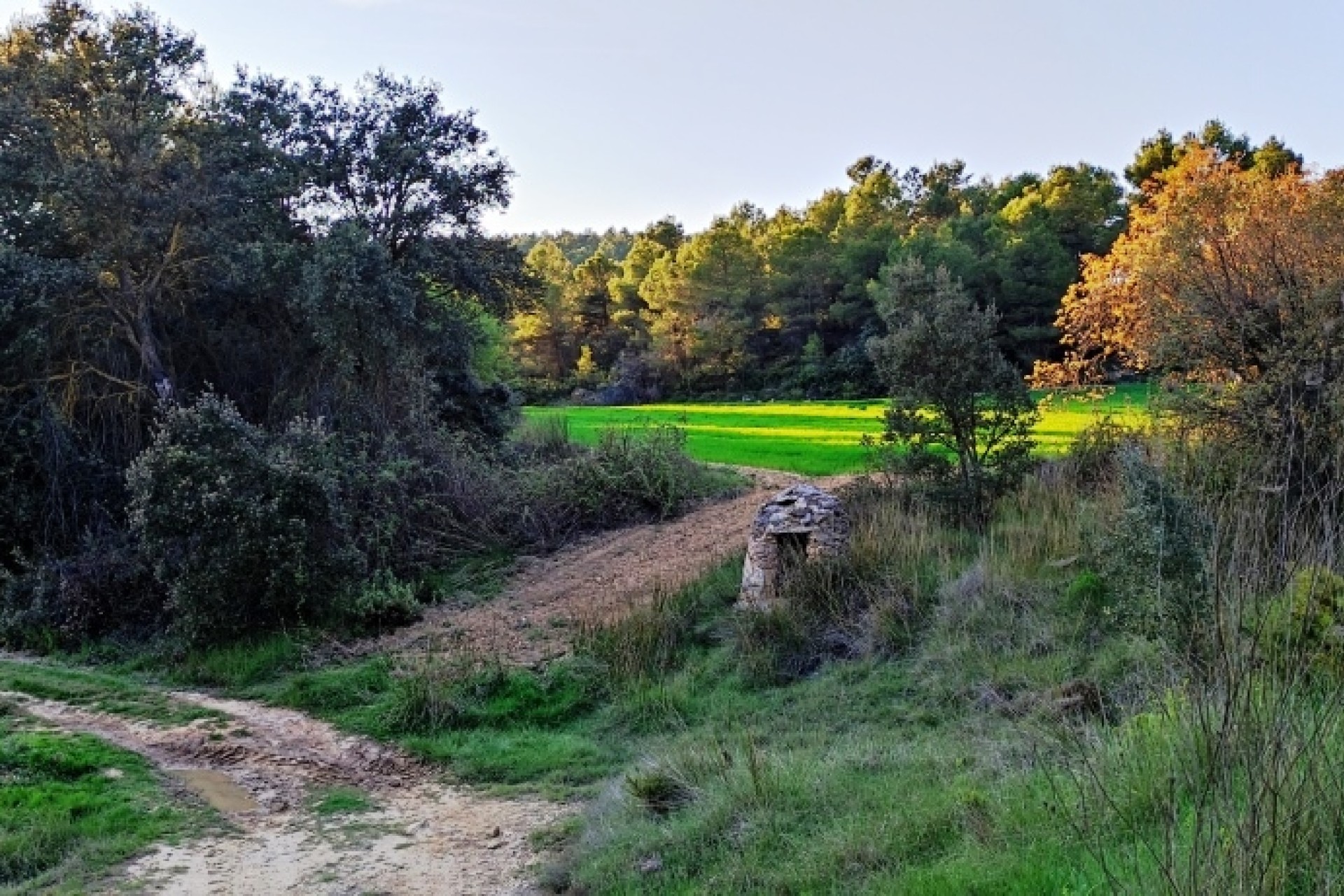 Reventa - Villa - Bocairent