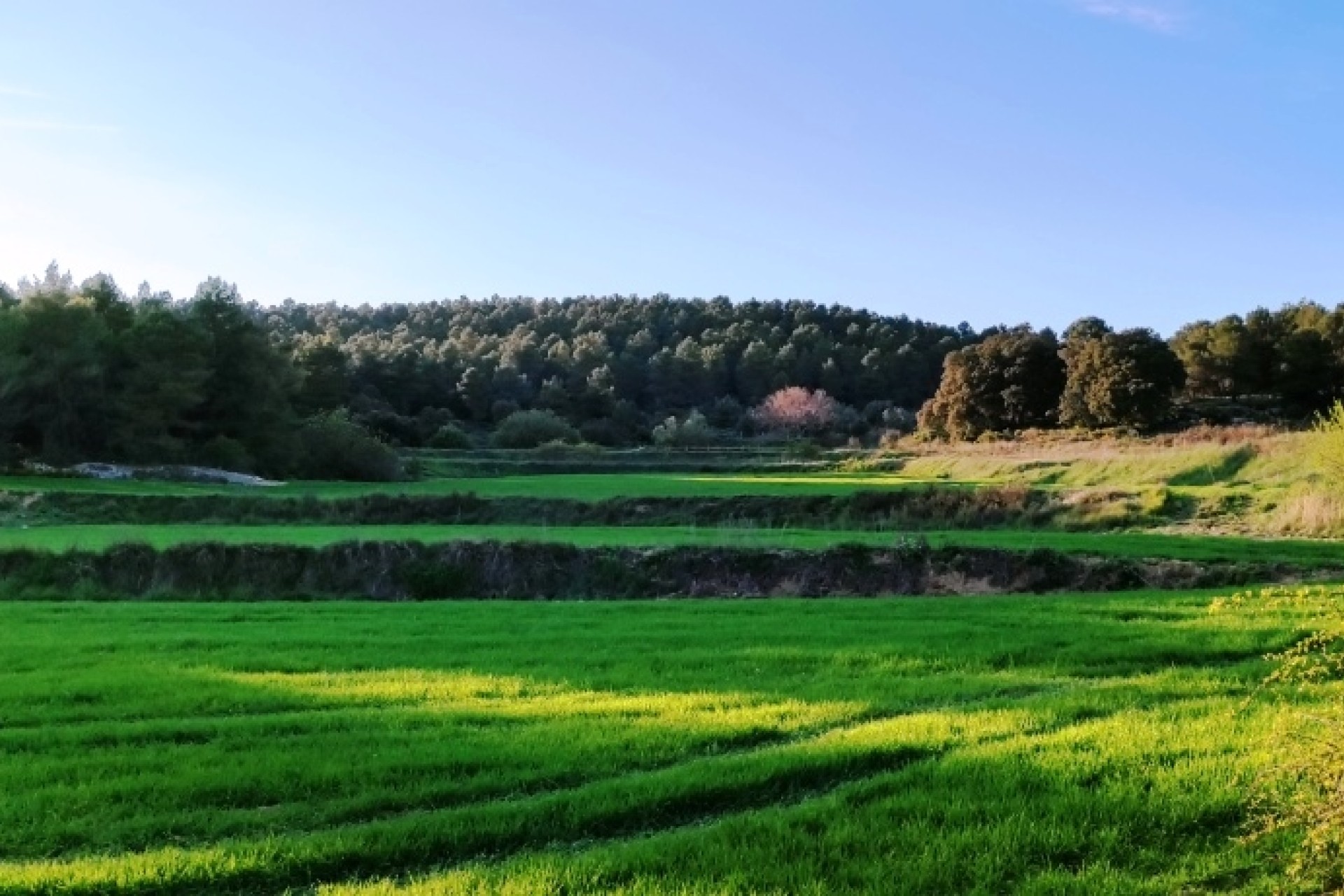 Reventa - Villa - Bocairent