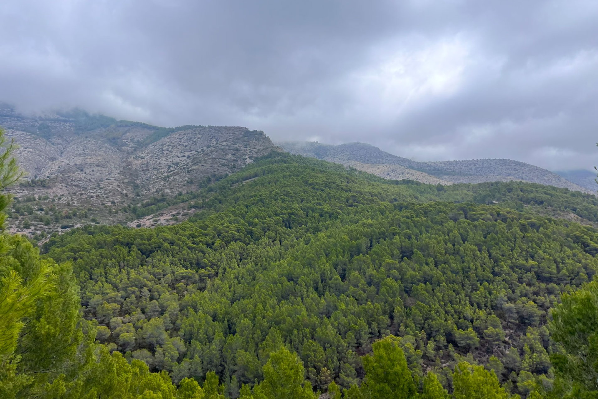 Revente - Land - Altea - Urbanización Santa Clara