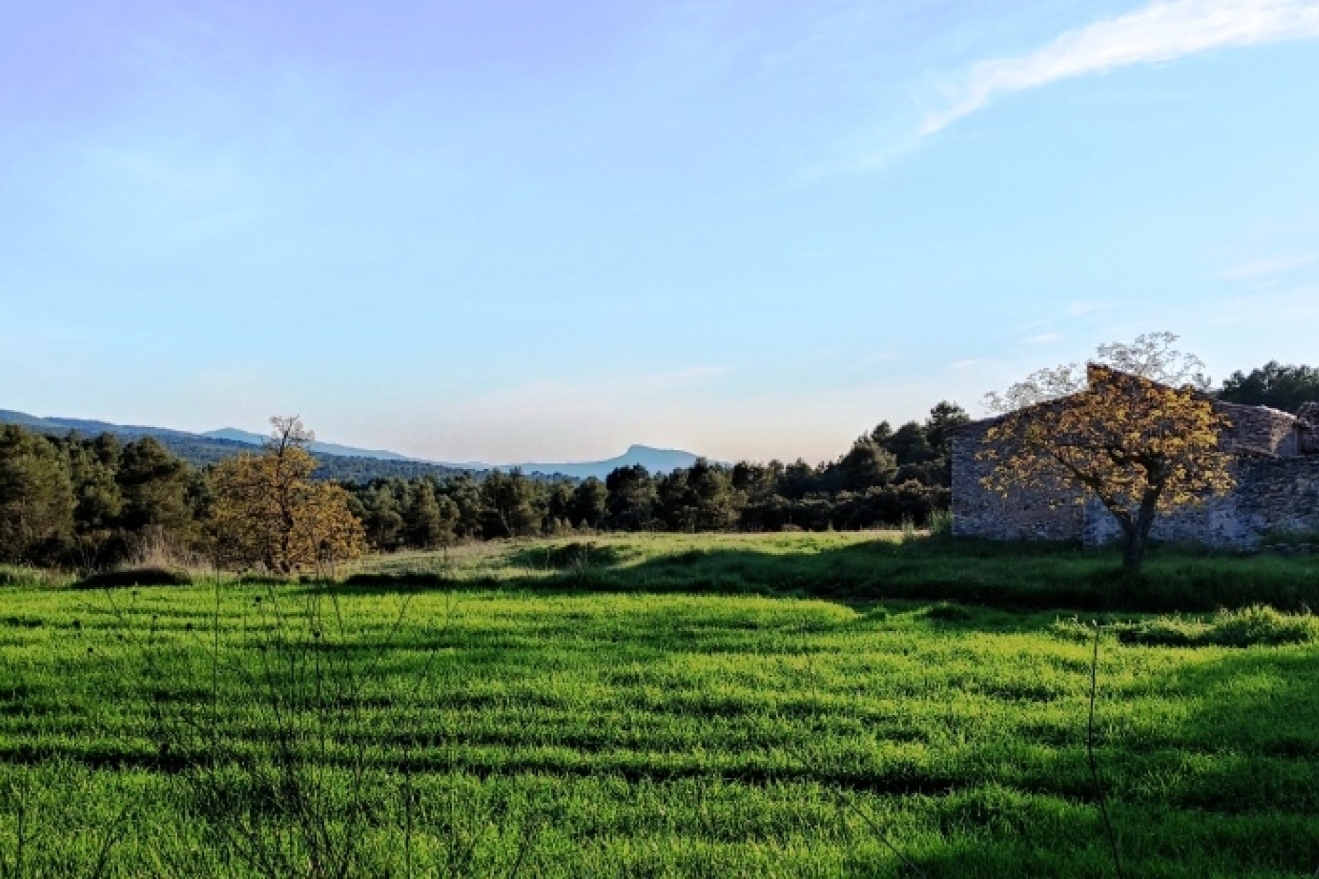 Revente - Villa - Bocairent