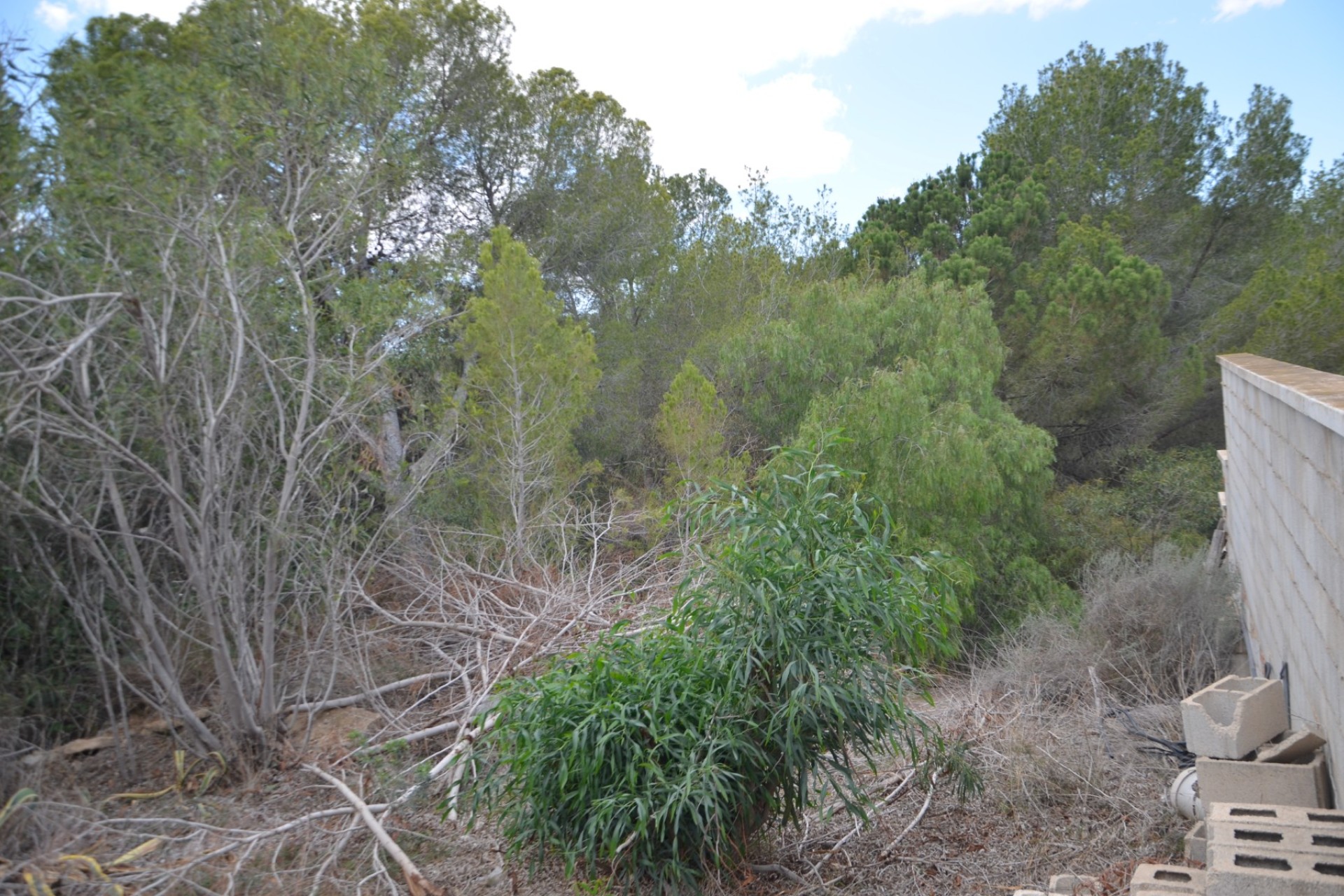 Revente - Villa - Pilar de la Horadada - Pinar de Campoverde