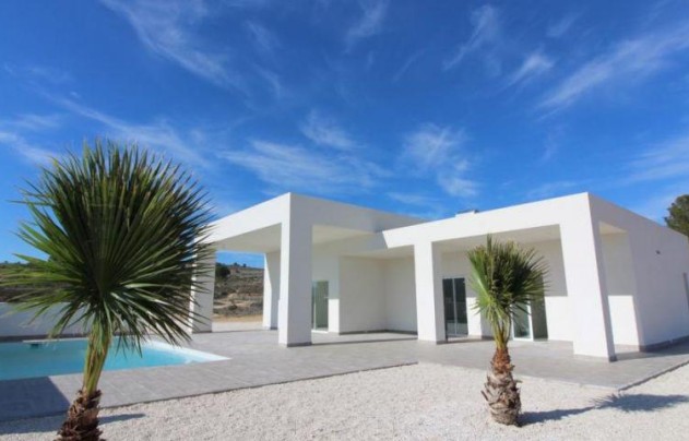 Villa - New Build - Pinoso - Centro