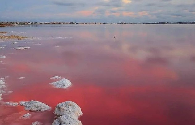 Obra nueva - Casa - Torrevieja - Lago Jardin