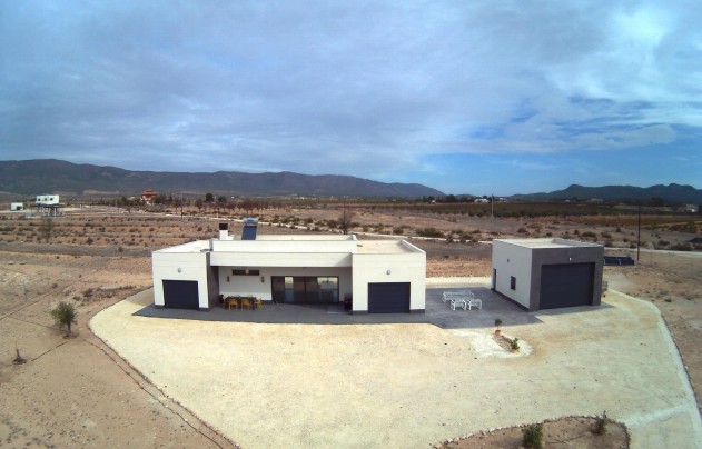 Nouvelle construction - Villa - Pinoso - Camino Del Prado