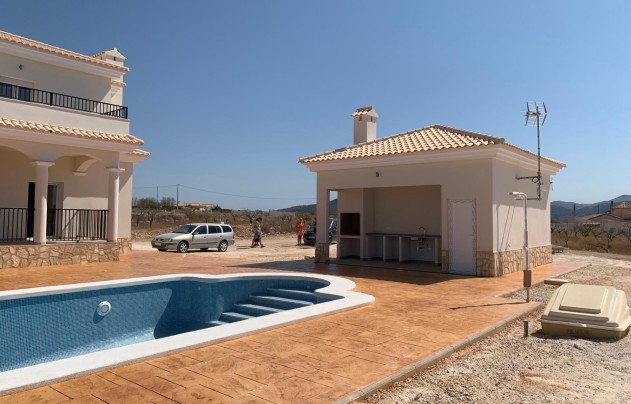 Nouvelle construction - Villa - Pinoso - Camino Del Prado