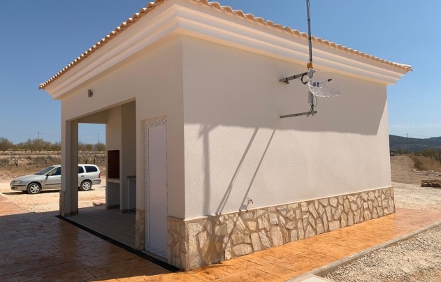 Nouvelle construction - Villa - Pinoso - Camino Del Prado