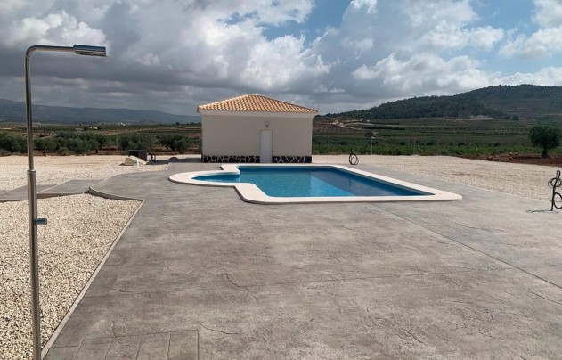 Nouvelle construction - Villa - Pinoso - Camino Del Prado