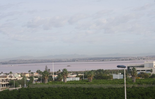 Obra nueva - Casa - Torrevieja - Los Altos