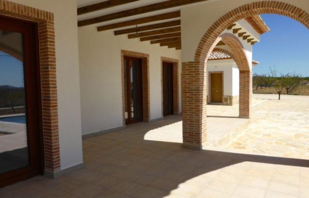 Nouvelle construction - Villa - Pinoso - Centro