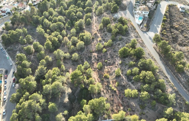 Obra nueva - Villa - L'alfas Del Pi - Escandinavia