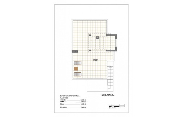 Obra nueva - Casa - San Miguel de Salinas - Urbanizaciones