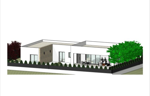 Nieuwbouw Woningen - Villa - Pinoso - Lel