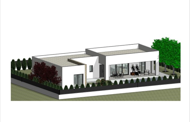 Nieuwbouw Woningen - Villa - Pinoso - Lel