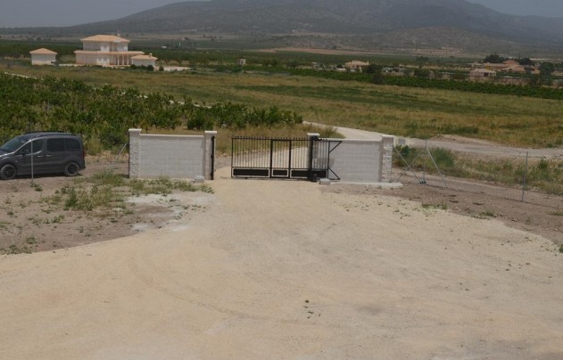 Obra nueva - Villa - Pinoso - Camino Del Prado