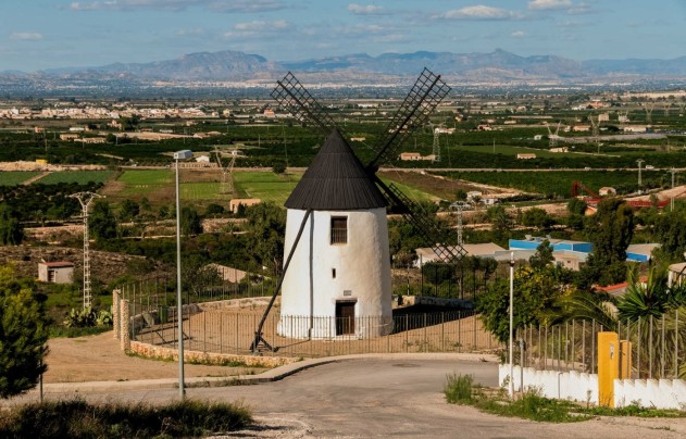 Obra nueva - Villa - Rojales - Doña Pepa