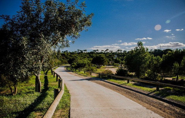 Obra nueva - Villa - Rojales - Doña Pena