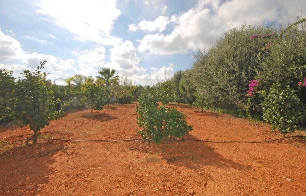 Herverkoop - Villa - Jávea - Montgó