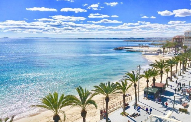 Obra nueva - Villa - Torrevieja - Lago Jardin