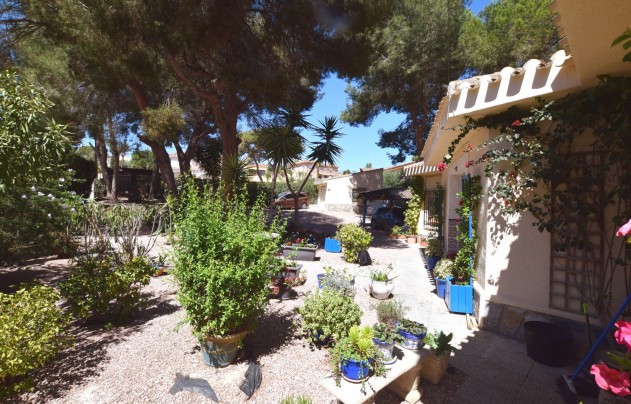 Resale - Villa - Algorfa - Montemar