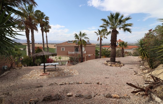 Resale - Villa - Algorfa - Lomas de La Juliana