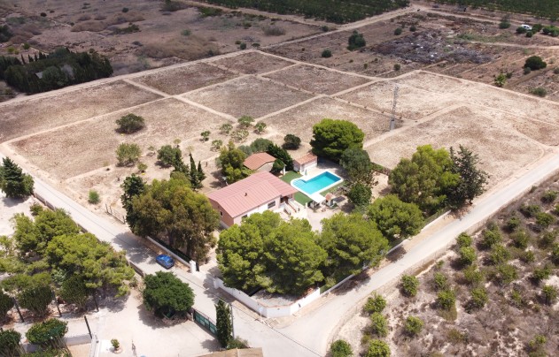 Resale - Villa - Los Montesinos - La Herrada