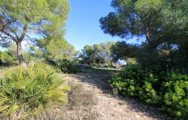 Herverkoop - Villa - Orihuela Costa - Mil Palmeras