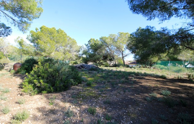 Reventa - Villa - Orihuela Costa - Mil Palmeras